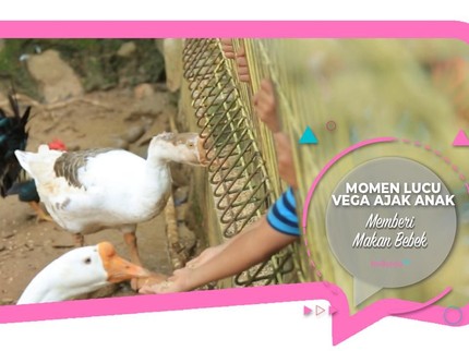 Momen Lucu Vega Ajak Anak Memberi Makan Bebek