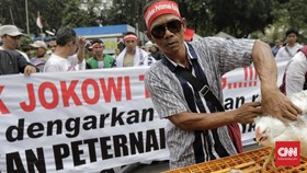 Kementan Klaim Swasta Mulai Beli Ayam dari Peternak Mandiri