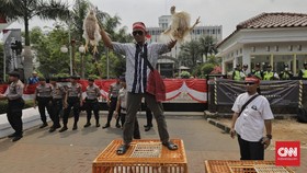 Harga Ayam Anjlok ke Rp8.000 per Kg, Peternak Kembali Protes