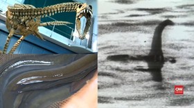 VIDEO: Misteri 'Monster' Loch Ness di Skotlandia Terpecahkan