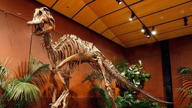 Bekas Jejak Kaki Dinosaurus 100 Juta Tahun Ditemukan