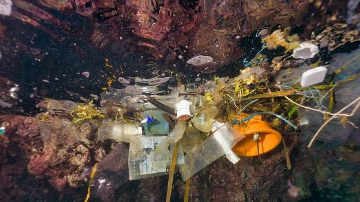 Ko Haa, Andaman sea, Thailand - Nov 24 20178:  Plastic bags, bottles and cups float in the Ocean.  Seemingly harmless, they represent the massive environmental issue that is Global Ocean Pollution.  Plastic in the Ocean is said to be one of the largest threats to our ocean ecosystems.  Over 8 million tonnes is dumped in the Ocean every year.  Discarded, abandoned or obsolete items which become dangerous garbage, is responsible for the deaths of huge amounts of Marine Life every year, through entanglement and consumption.  Image obtained whilst scuba diving at Ko Haa, Andaman sea, Krabi Province, Thailand.  Taken using Sony mirrorless camera in underwater housing, with Inon Z330 strobe lighting.