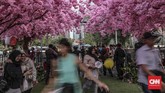 FOTO: Semarak Festival Persahabatan Indonesia-Jepang Festival Jak-Japan Matsuri 2019 berlangsung di Plaza Tenggara Gelora Bung Karno, Jakarta, hingga 8 September 2019.