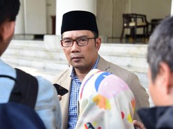 Mendagri Bisa Pecat Gubernur di Draf Omnibus Law, Ini Kata Ridwan Kamil