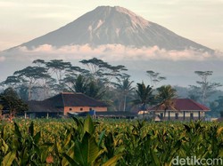 Bukan Amerika, Riset Harvard Sebut Indonesia Negara Nomor Satu