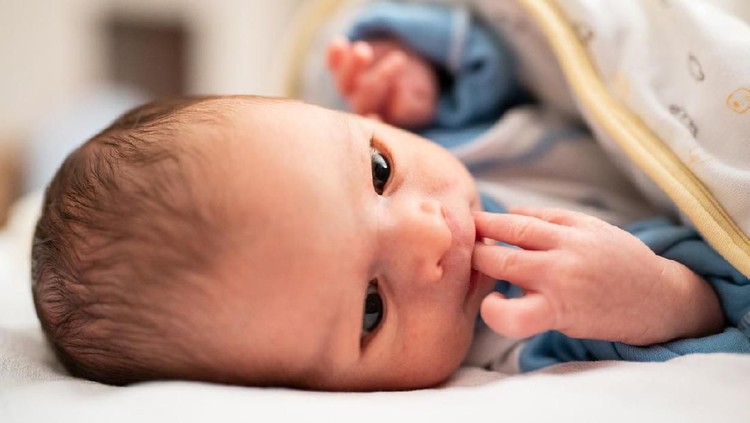 35 Nama Bayi Laki-laki Unik dari Bahasa Portugis Bunda sedang menyiapkan nama bayi untuk si kecil? Nama dari bahasa Portugis bisa jadi inspirasi, nih.