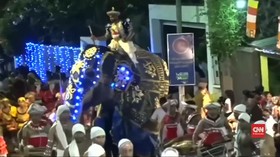 VIDEO: Gajah Mengamuk di Sri Lanka Cederai Sejumlah Orang