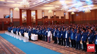 Wasekjen soal Senior Demokrat Temui Luhut: Aya-aya Wae