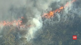 VIDEO: Australia Curiga Anak 12 Tahun Sengaja Bakar Hutan