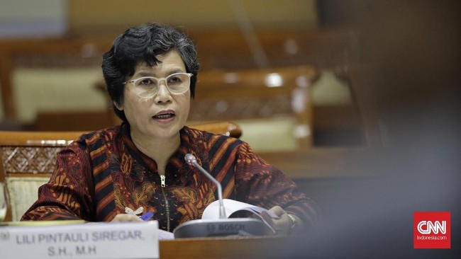 Calon pimpinan KPK Lili Pintauli menyebut ada kesalahan pencantuman jumlah harta kekayaannya di LHKPN. Menurutnya, jumlah yang sebenarnya adalah Rp700 juta.
