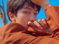 ARMY Buat Hutan Kedua di Seoul untuk Kado Ultah RM 'BTS'
