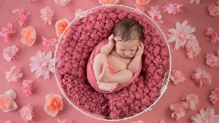 Nine day old newborn baby girl sleeping in a wire basket. Shot in the studio on a pink background that's been strewn with flowers.