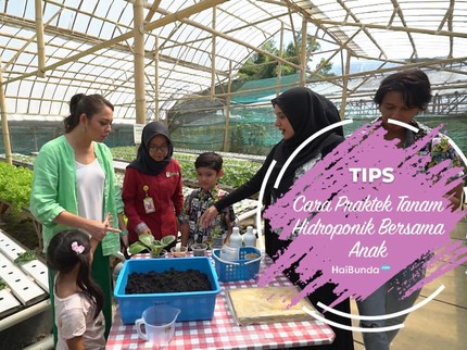 Cara Praktek Tanam Hidroponik Bersama Anak