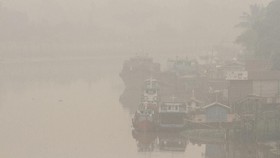 Paparan Kabut Asap Kurangi Kecerdasan Pada Anak