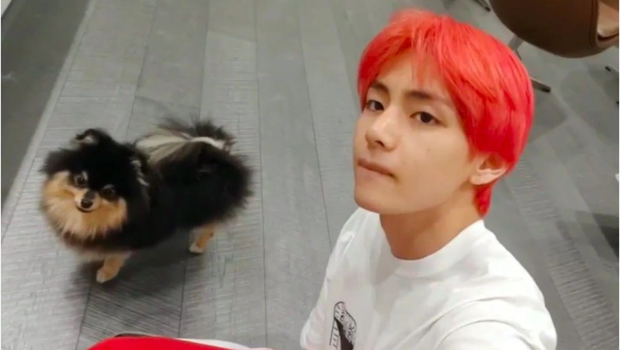 Anjing Peliharaan V BTS Jadi Trending di Korea dan Amerika Tannie menjadi trending topik di Twitter.