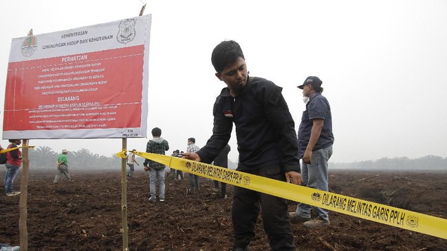 Lahan 4,25 hektare di Kabupaten Pelalawan, Riau, milik anak perusahaan asal Malaysia, disegel oleh KLHK sebagai bagian penyelidikan kebakaran hutan di sana.