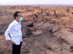 Tahun 2019 Karhutla Meningkat, Jokowi: Apa Kurang yang Dicopot?