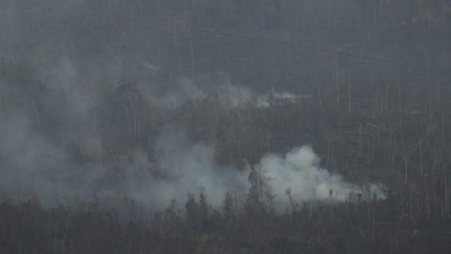 Sampoerna menyatakan 586 hektare lahan perusahaan yang disegal KLHK imbas kebakaran hutan dan lahan sudah terbakar api yang berasal dari luar perkebunan.