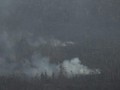 Ada Inpres Jokowi, BPDP Yakin Pebisnis Sawit Tak Bakar Hutan