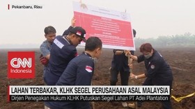 VIDEO: Lahan Terbakar, KLHK Segel Perusahaan Asal Malaysia