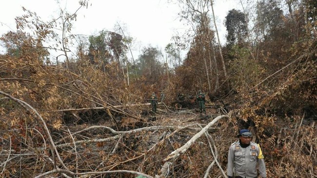 Presiden Jokowi mengingatkan para perangkat daerah Riau mulai dari Gubernur, Bupati, hingga camat untuk serius memantau karhutla.