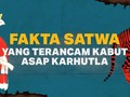INFOGRAFIS: Satwa yang Terancam Kabut Asap Karhutla