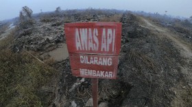 Polisi Tangkap 6 Petani di Sumsel Pembakar Lahan