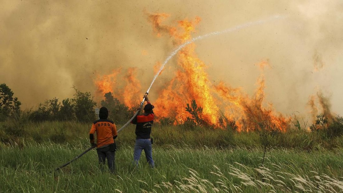 FOTO: Tercekik Kabut Asap di Sumatera dan Kalimantan