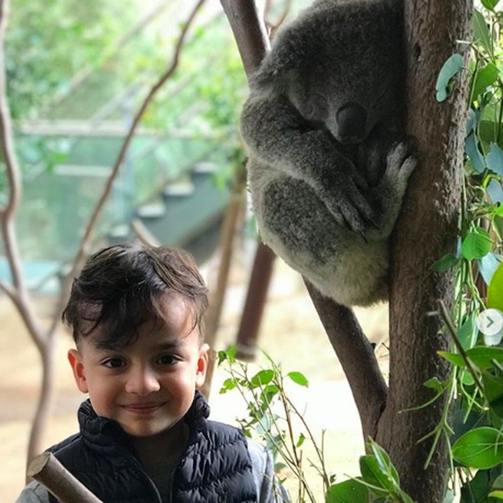 <p>Kali ini, giliran Fahri foto dengan koala. (Foto: Instagram/ @ferdyhasan)  </p>