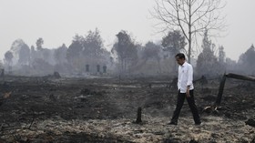 Jokowi Belum Dijadwalkan ke Lokasi Banjir Sintang
