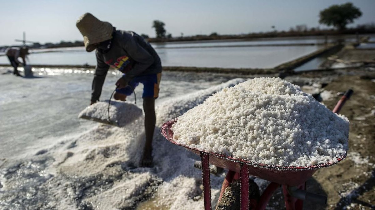FOTO: Harga Garam Rendah, Petani Garam Gigit Jari