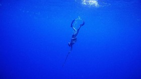 Ada Taman Terumbu Karang di Gili Meno