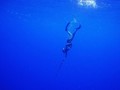 Ada Taman Terumbu Karang di Gili Meno