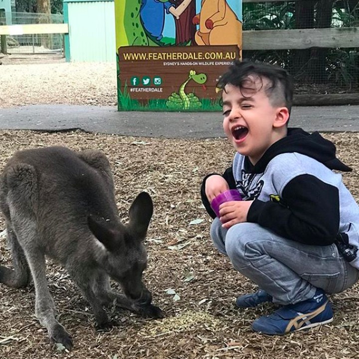 <p><em>Happy</em> banget nih Fahri ketemu binatang favoritnya, Kanguru. (Foto: Instagram/ @ferdyhasan)</p>