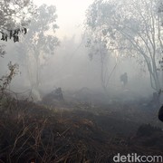 Waspada Kabut Asap, Singapura Deteksi Ada 51 Titik Api Karhutla di Sumatra!