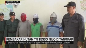VIDEO: Pembakar Hutan TN Tesso Nilo Ditangkap