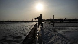 Penyebab RI Impor Garam Meski Punya Garis Pantai Terpanjang