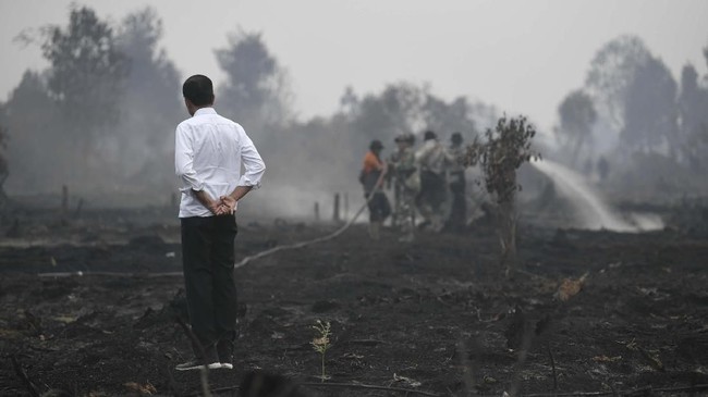 Presiden Jokowi dinilai tak begitu memperhatikan kepuasan publik karena secara politis ia tak memungkinkan untuk kembali menjadi presiden di pilpres esok.