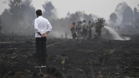 15 Korporasi dan 334 Individu Jadi Tersangka Karhutla