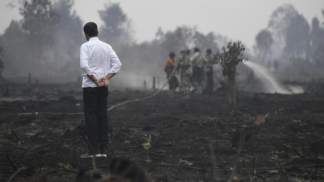 Respons GBSM Usai Jadi Tersangka Karhutla
