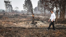 25 Ribu Orang Teken Petisi Hukum Perusahaan Pembakar Hutan