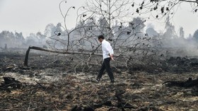 Nyaris 100 Juta Hektare Hutan Musnah di Bumi Selama 20 Tahun