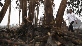 Jokowi: 99 Persen Kebakaran Hutan karena Ulah Manusia