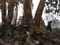 Jokowi: 99 Persen Kebakaran Hutan karena Ulah Manusia