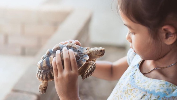 ilustrasi anak dan hewan peliharaan ilustrasi anak dan hewan peliharaan