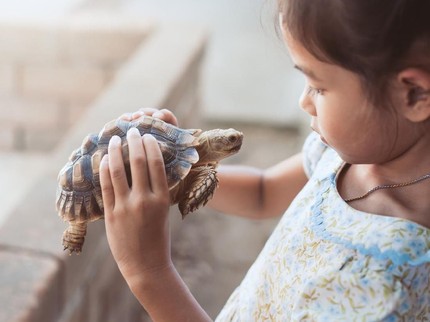 Tanda Anak Siap Punya Hewan Peliharaan, Bunda Perlu Tahu