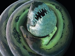 Mengenal Titanoboa, Raja Ular Raksasa yang Pernah Merayap di Bumi