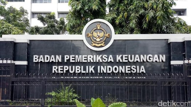 LKPP 2025: Realisasi Pembiayaan Lainnya Meledak 35.855% dari Target