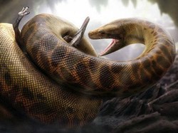 Heboh Penampakan Ular Raksasa Titanoboa di TikTok, Ini Faktanya