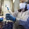 Dosen UGM Praktik Terapi Stem Cell Ilegal Berkedok Dokter Hewan